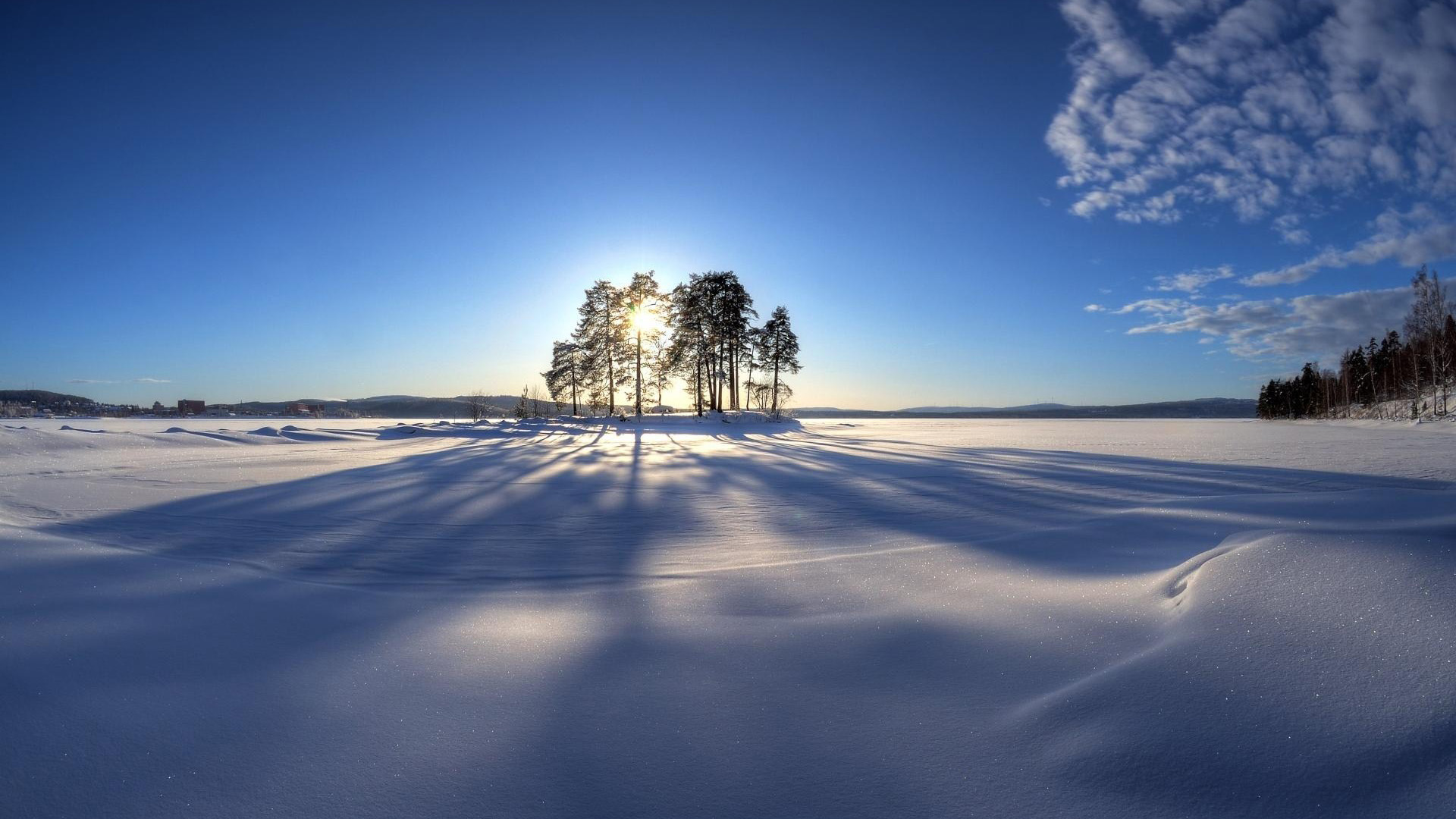 唯美的冬日阳光透过树梢雪乡雪致风景