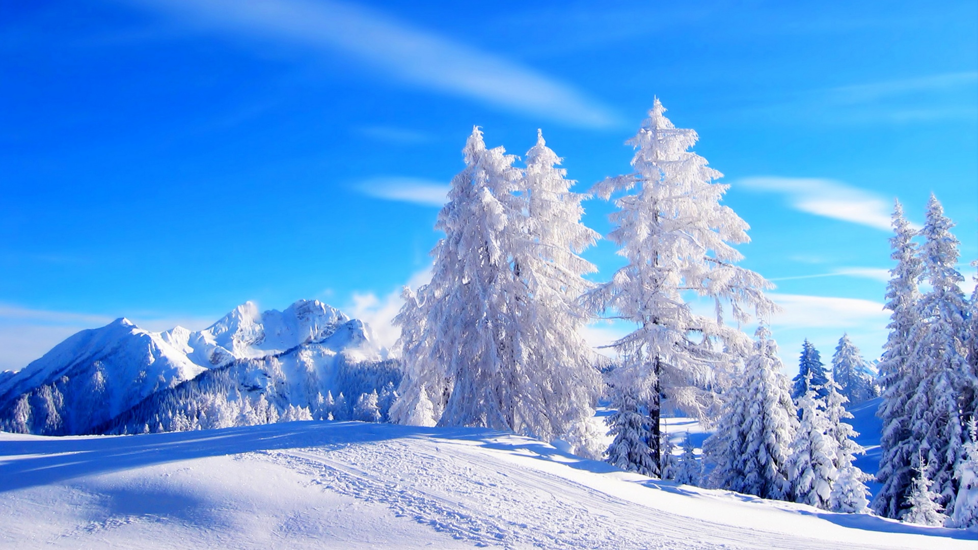 优美的冬季雪景