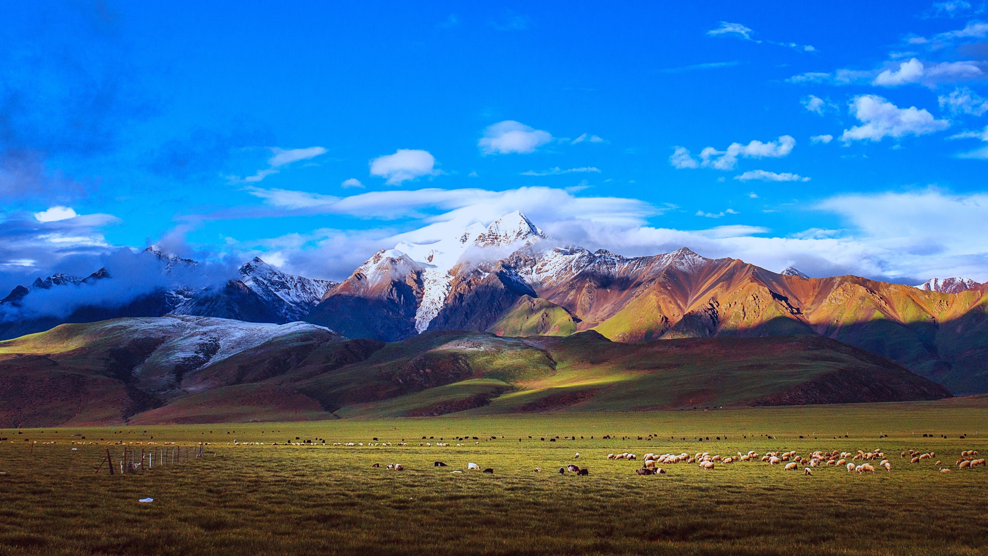 西藏羊八井镇的草原天空