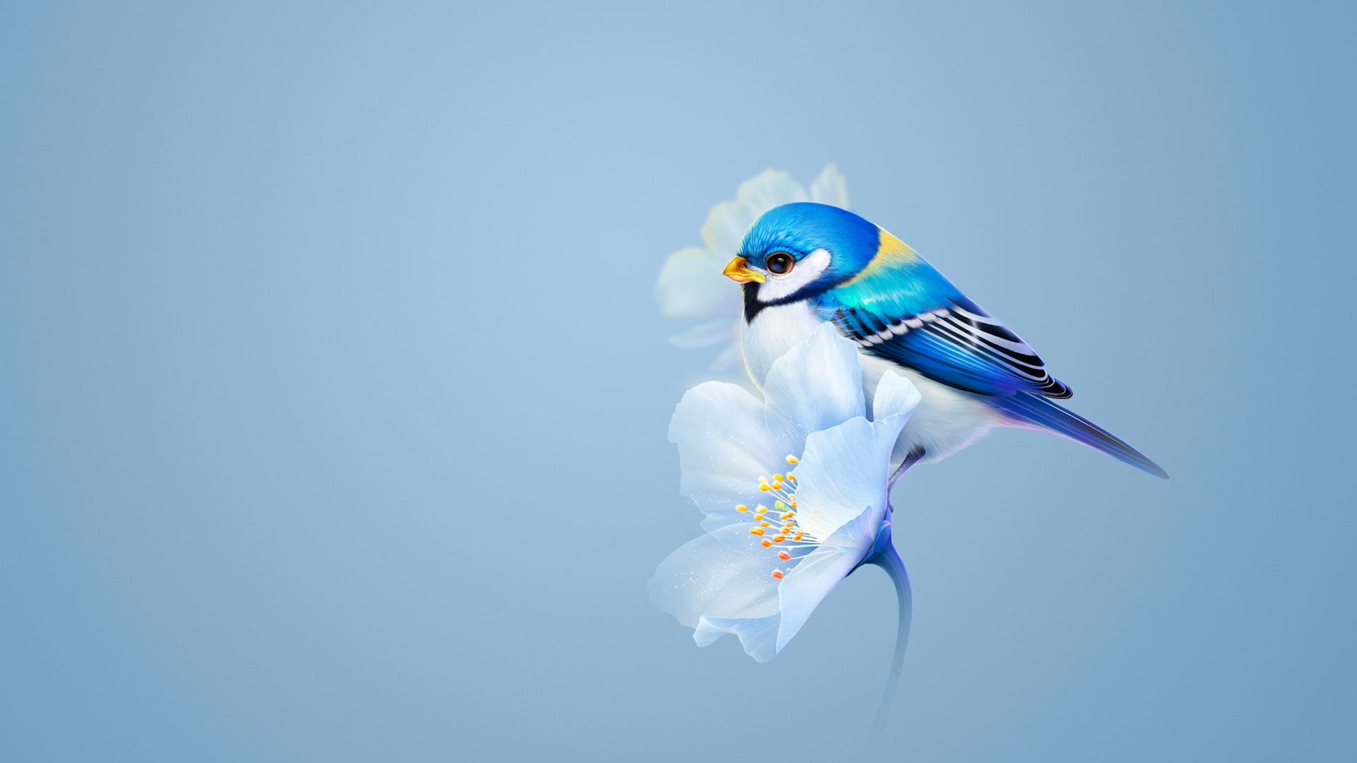 华为MatePad Pro 花朵与小鸟